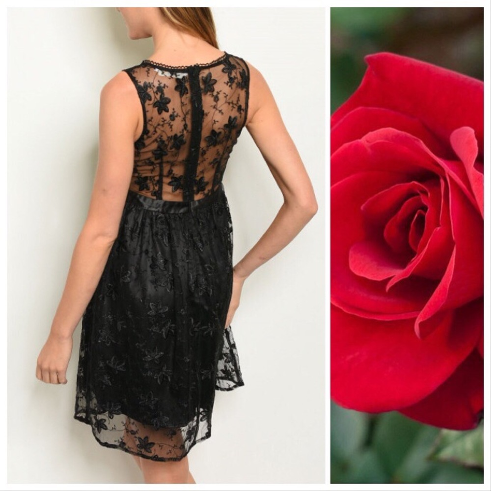 Luna Black Lace Fairy Dress - Picture 2 of 6